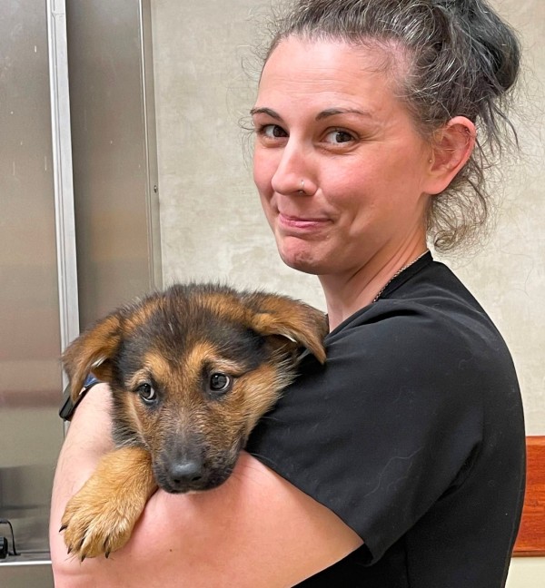 Sara - Veterinary Technician