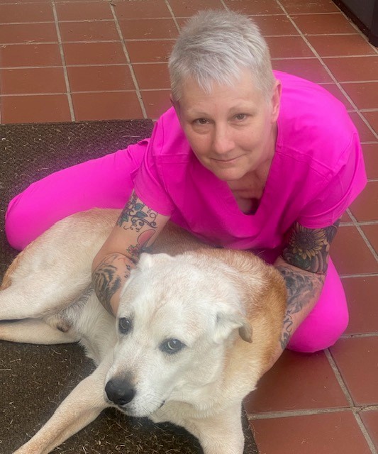 Veterinarian In Dallas, TX 752481702 Pavillion Animal Hospital