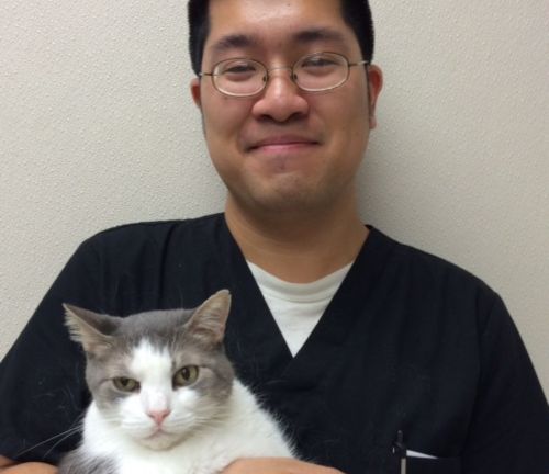 A Smiling Man Wearing Glasses and Holding a Cat